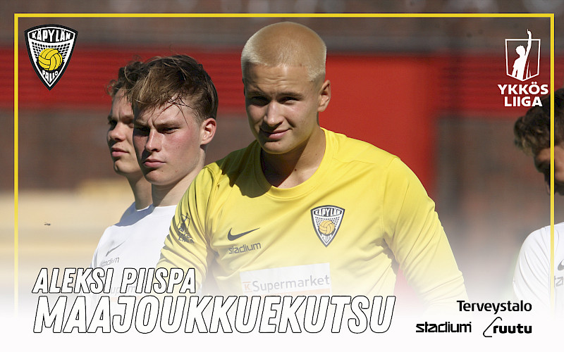 Piispa sai kutsun pikkuhuuhkajiin